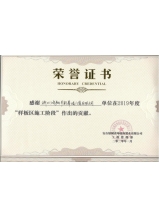 樣板施工貢獻(xiàn)獎